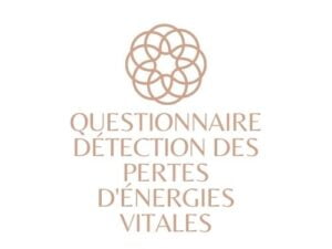 questionnaire pertes d'energies