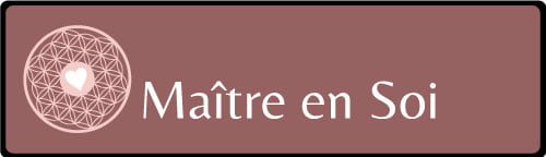 Logo Maître en Soi